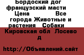 Бордоский дог ( французский масти)  › Цена ­ 50 000 - Все города Животные и растения » Собаки   . Кировская обл.,Лосево д.